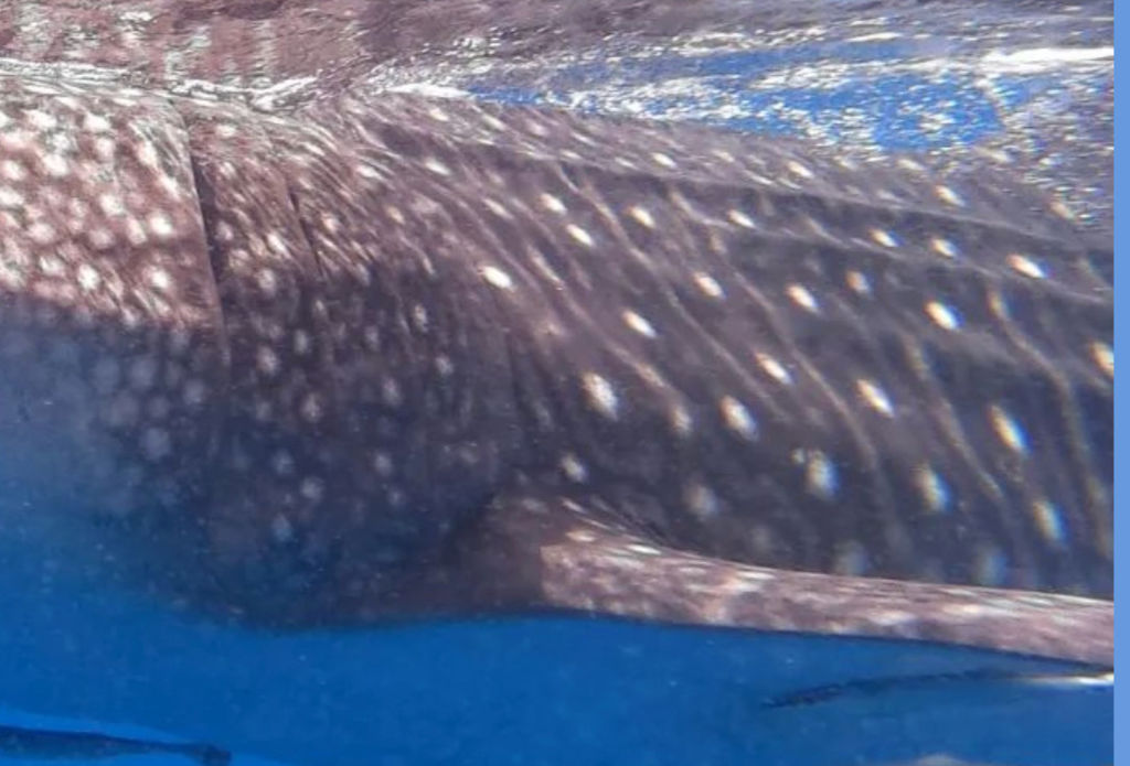 1f758191-80c3-4ffe-8bd3-b7bb3329af6e