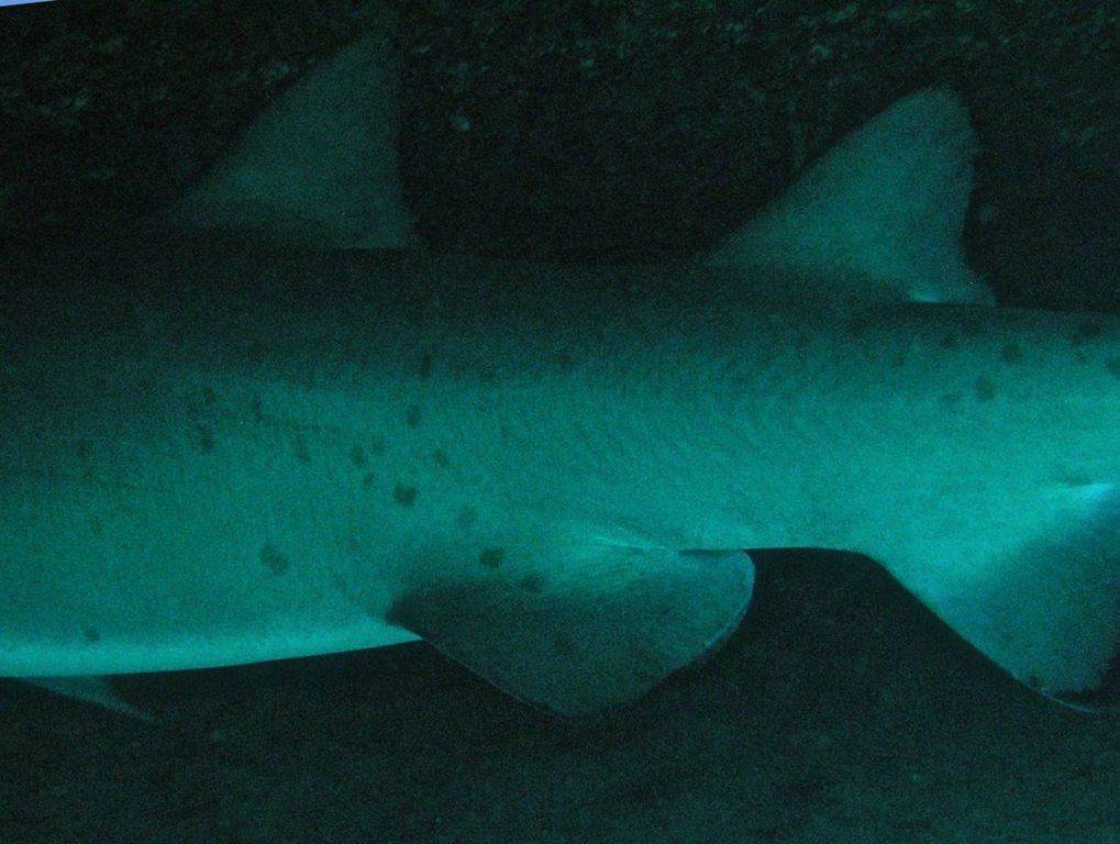 f1516353-b719-4045-addd-1ba2f057ce57