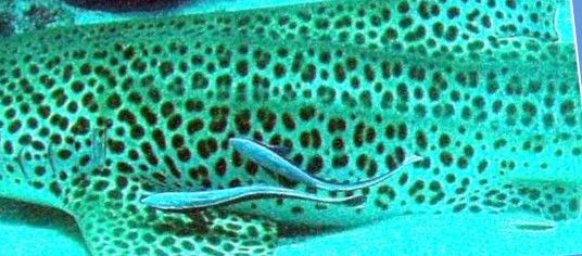 f396afc2-c0e4-45df-8bbb-f30b74badb78