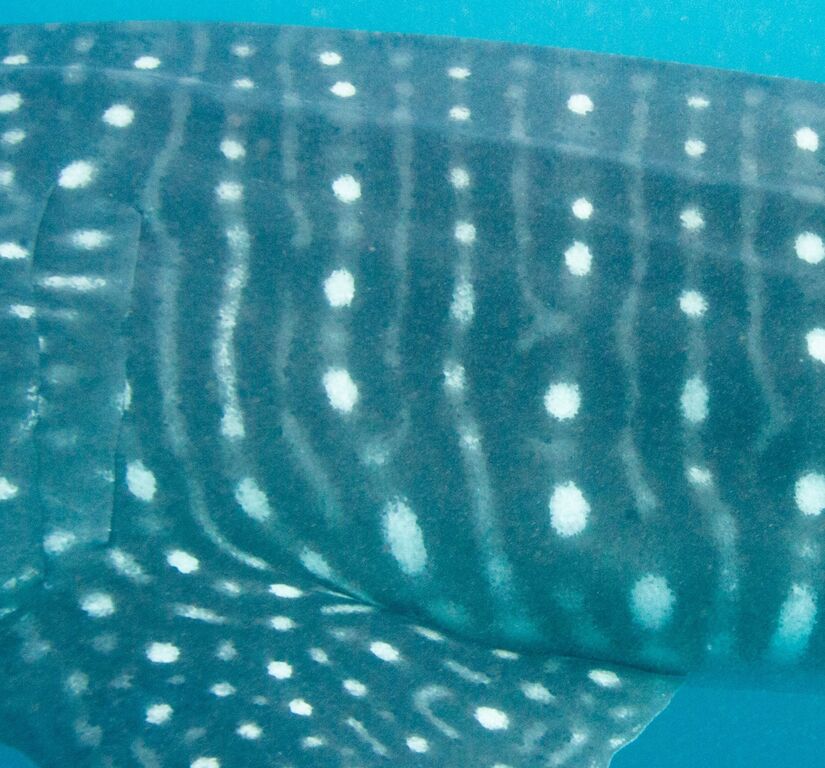 3cecbae2-efbd-4028-bc21-6ba7df8e4f44