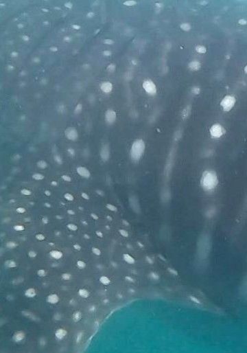 3e18cad3-e861-40fc-b10e-db9de9c53ac7