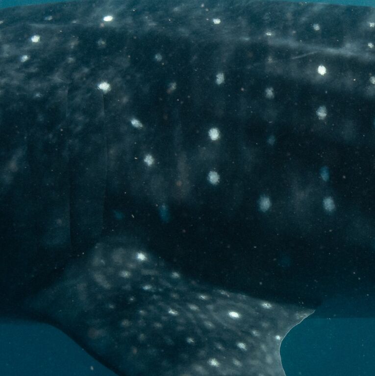 697c52aa-c096-4a3f-bb03-e9a2dea80adc