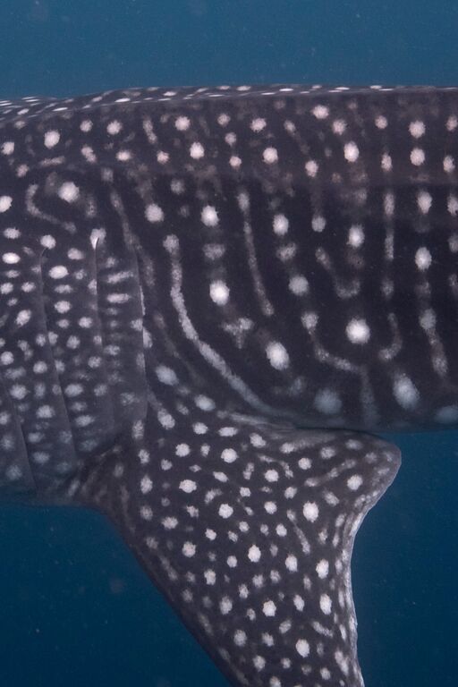 2b9e44ee-3888-45c7-a3b0-f4866ddd838a