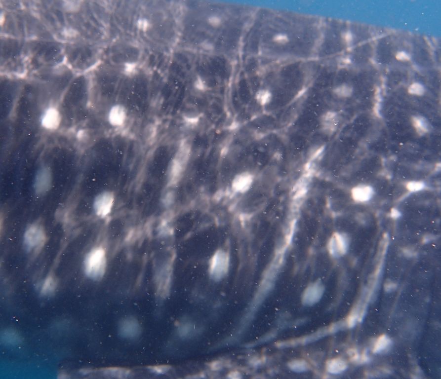 38da77fe-1ec2-49b0-b65b-7f8b1dfdc9ef