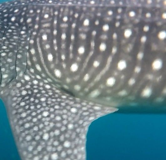 43b123db-7010-4836-97db-568959032714