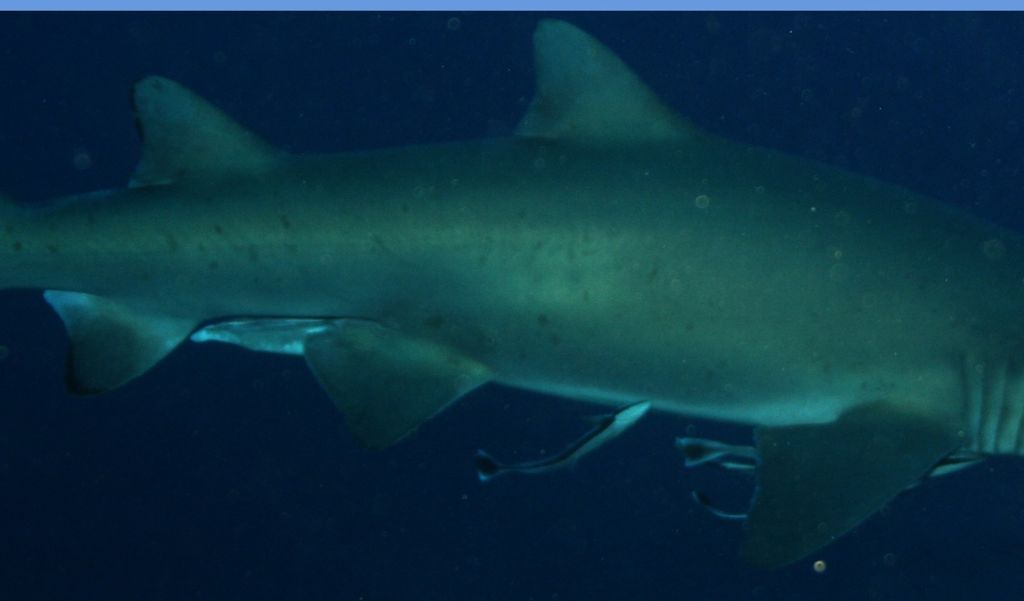 8a4694fa-8604-422f-9d4c-6b849c3d0fc7