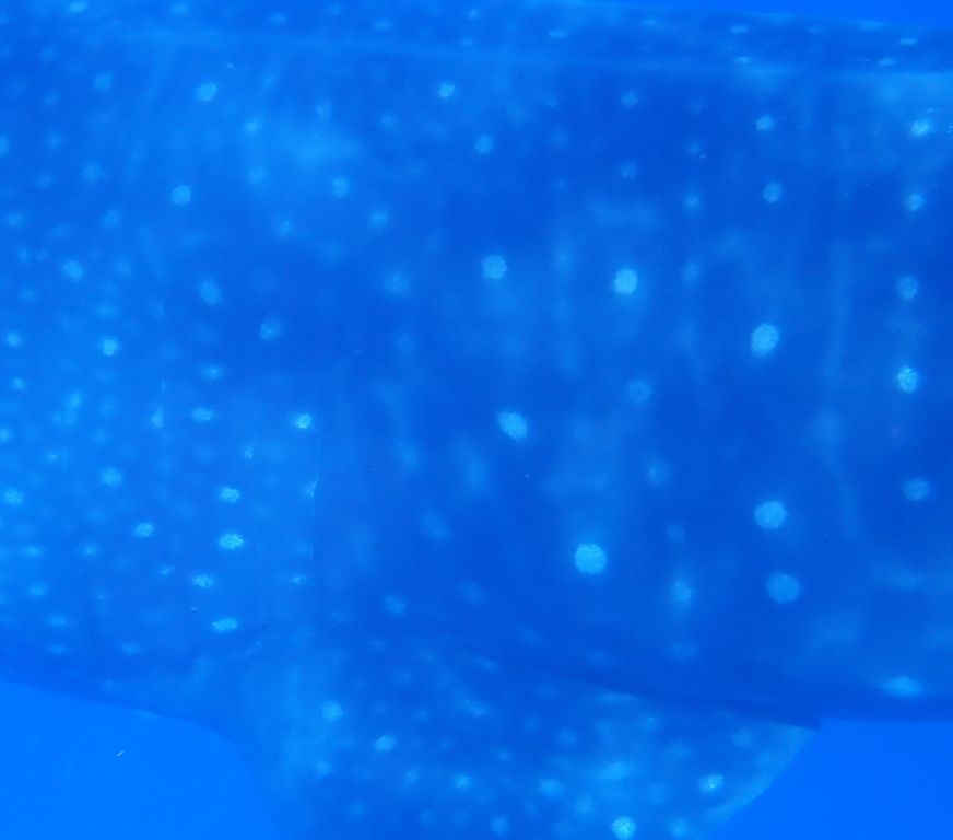 8dc5914d-45ca-404a-b7c6-165d53bffc7b