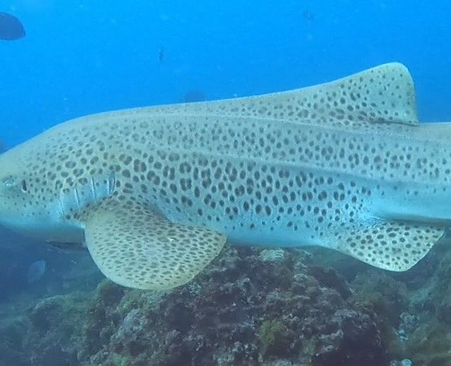 b79d258d-ed0a-477b-aa81-a63db992d14d