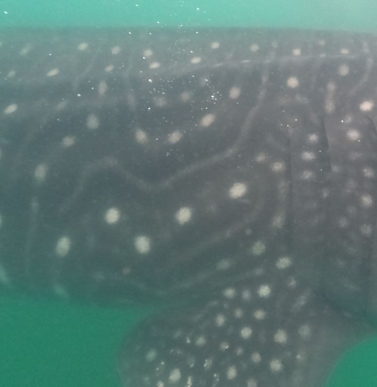 d65ad22d-753d-444d-a2e2-6b6007645b4f