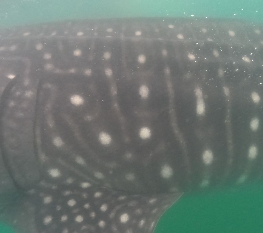 d65ad22d-753d-444d-a2e2-6b6007645b4f