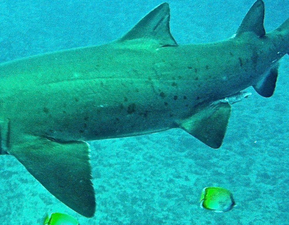 a9403c9e-9506-4563-bf3e-55348c7f6d89