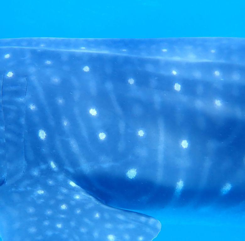 264b30b1-a508-41a5-8cef-b07b29cd0886