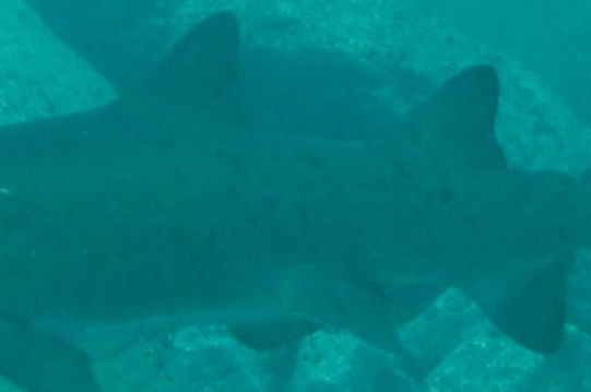 ff1cac0f-6066-4d29-849d-78d341cc5ec3