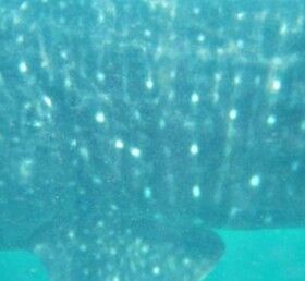 44df3964-4edd-4e7a-84c9-e687cb838743