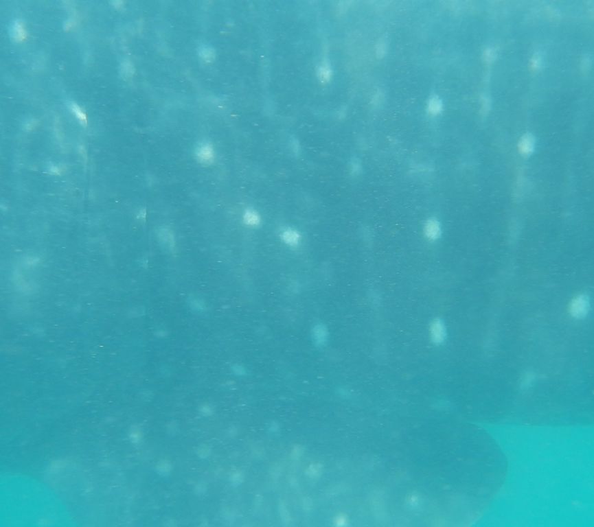 44df3964-4edd-4e7a-84c9-e687cb838743