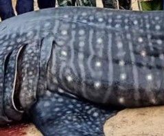 fd640628-eb12-42a7-b00a-2ecb00693ba0