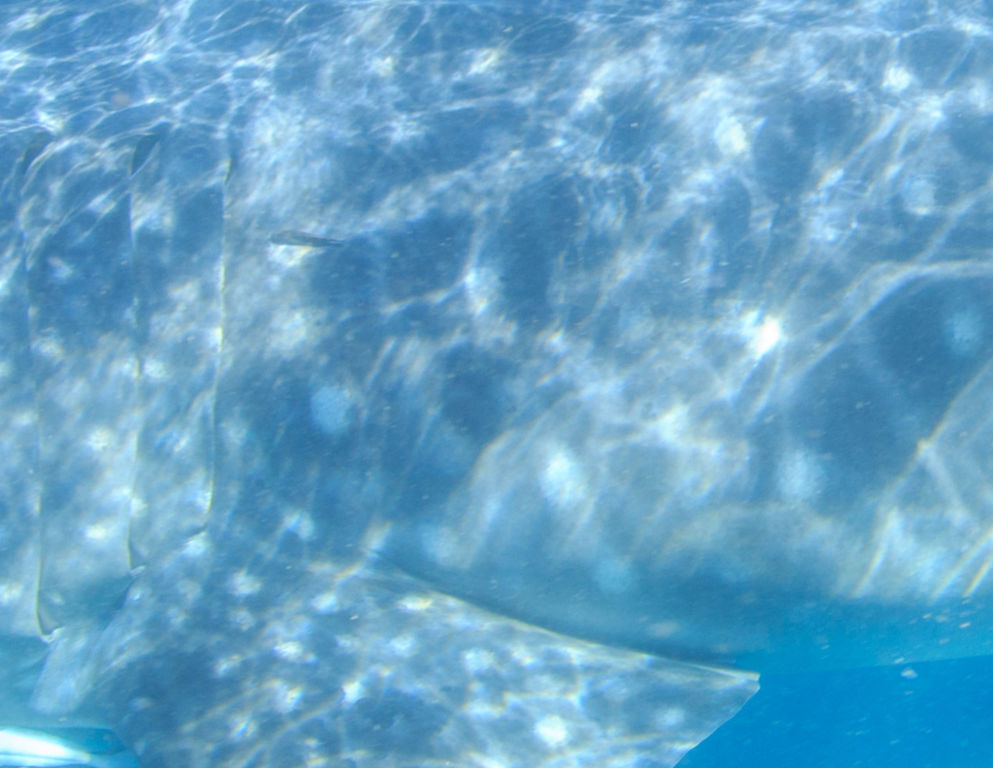 3e340e56-5596-4fba-a0d3-322692fcdc54