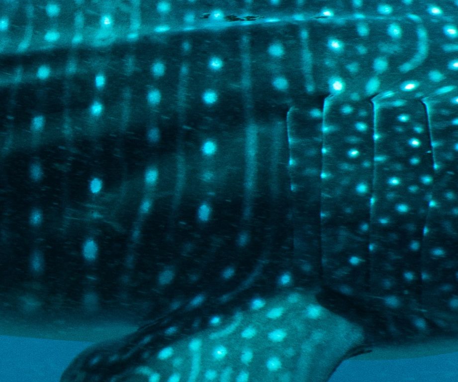 336eb9a6-72a7-4036-b7d5-ca488d44a555