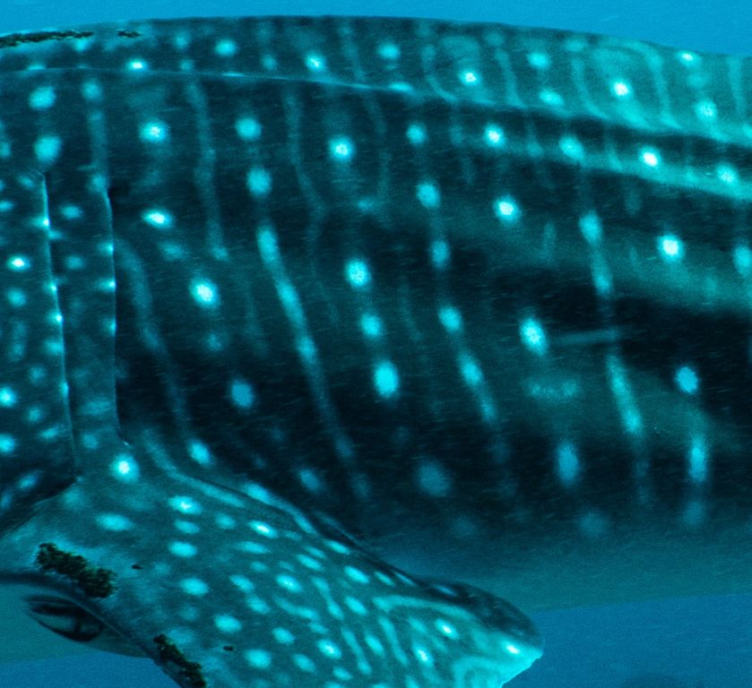 336eb9a6-72a7-4036-b7d5-ca488d44a555