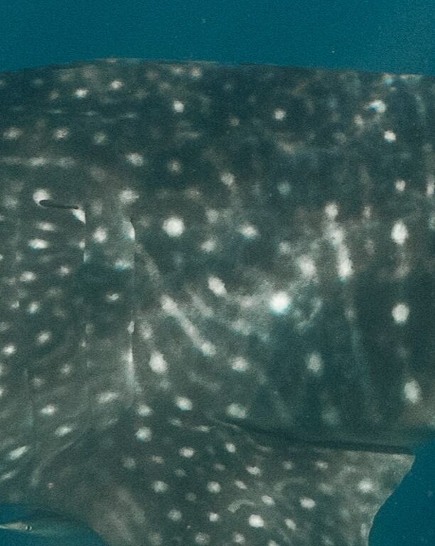 068bd46e-3c30-4565-9942-db9332c46bde