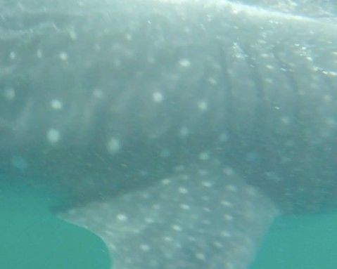 dcf0deeb-ae1e-4847-a581-daf54955c022