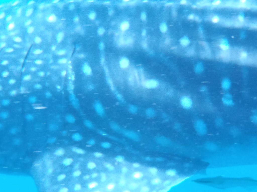 ee64451c-e437-4cfa-812e-4caeaf23105f