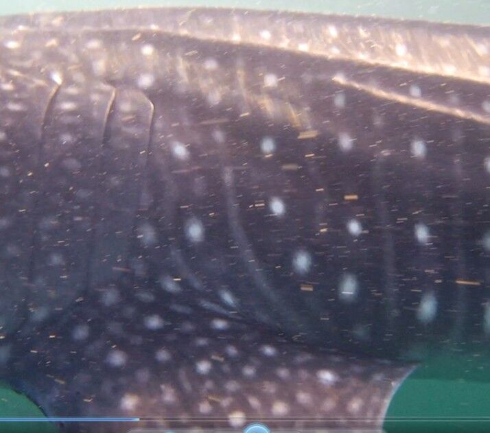 5f757632-34ea-4738-a6a9-1db7cb4c8620