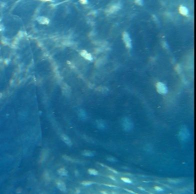 5cad7328-b714-4928-93c1-528d89048e66