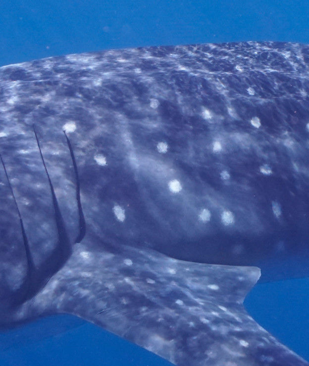 5b8e9b73-dcb9-409f-bcb2-6aeeb4a90820