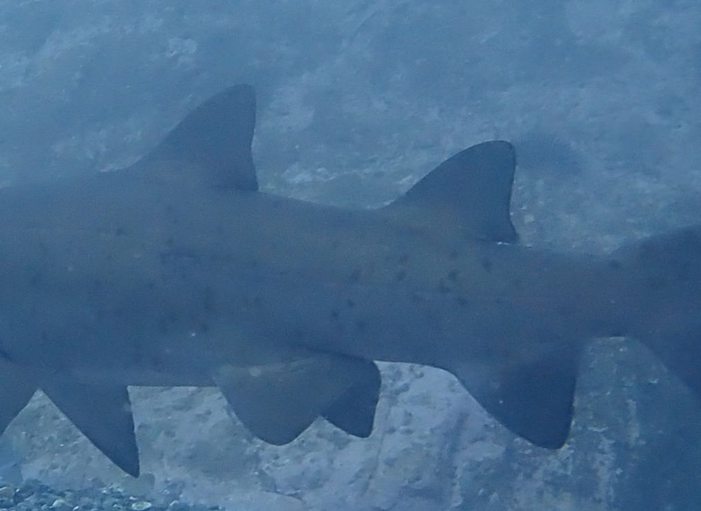 47094b36-b8b0-49a2-bc47-4eb20f0be913