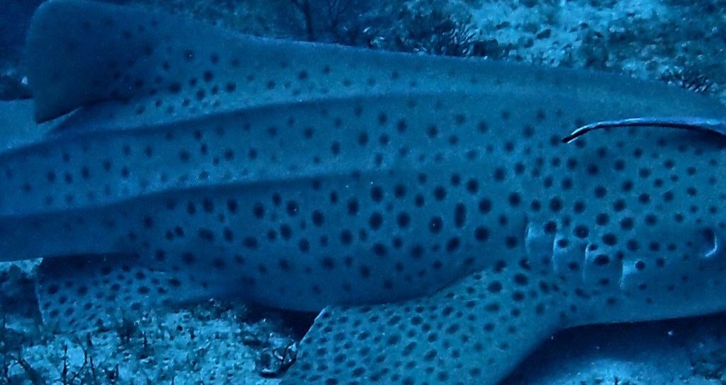 d512d1a0-2c3a-4e5c-a516-8b7c816d1e86