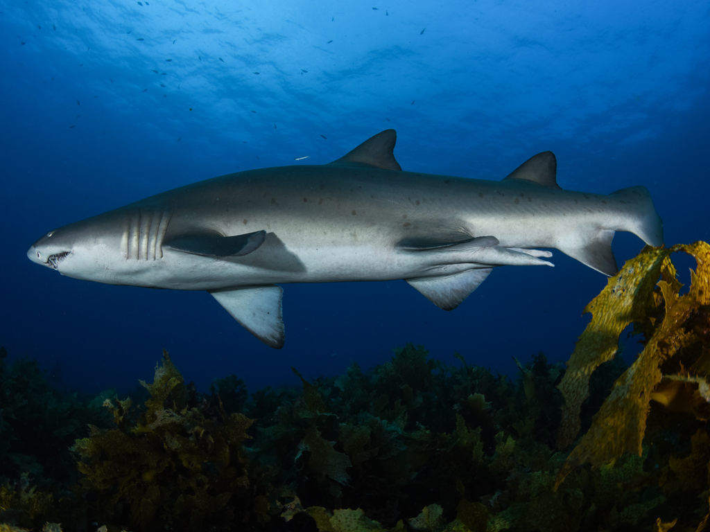 8dbc4ed2-278f-40c6-b1e8-f536d078f764