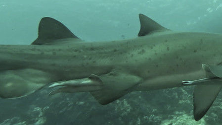 b259f772-f6ec-4afd-bc58-08916a50af4e