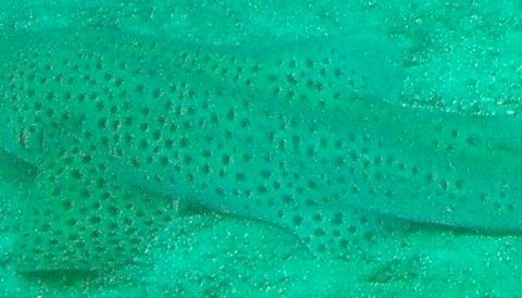 d305398a-b8a0-461c-89b4-1f65d197d2b3