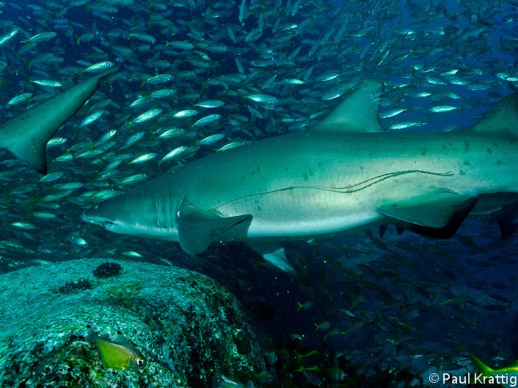 b669e0c9-b40f-492a-acda-3b3026f876b9