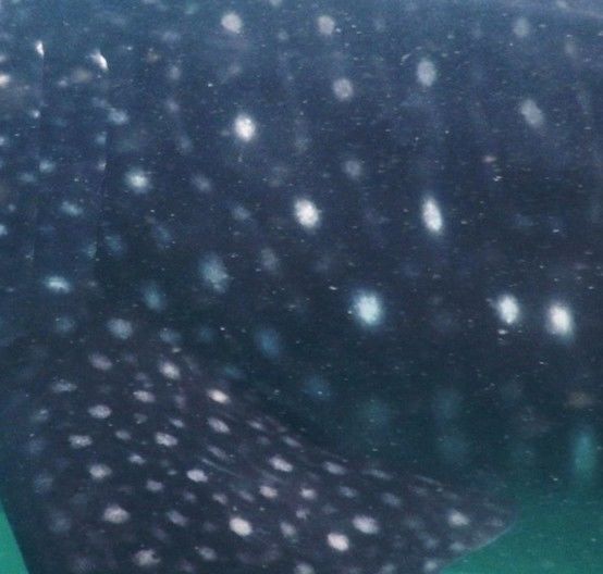 e2e75be5-8887-4b7e-af21-b919211b877e