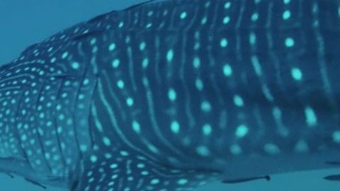 0def3509-3c07-4c2d-bfd4-0072e37e4d51