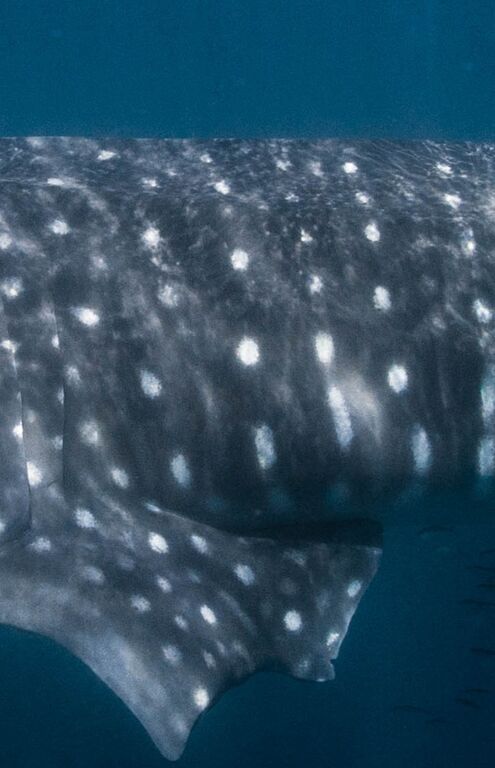 215892a3-d762-4abf-bd13-5bc3aae8621a