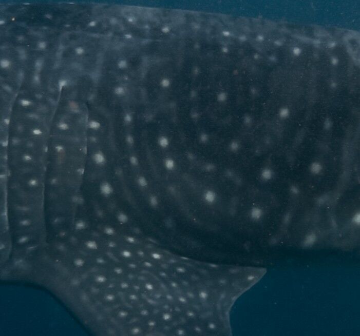 41f205be-2e6b-4713-a773-2ebd80ed84ff