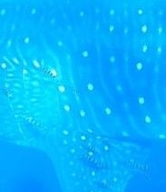 5d79fbc8-96a9-4310-9bad-ab76b2070d19