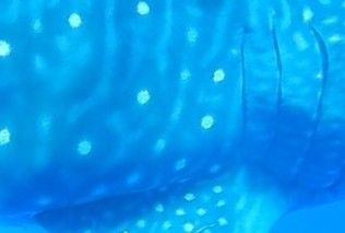 5d79fbc8-96a9-4310-9bad-ab76b2070d19