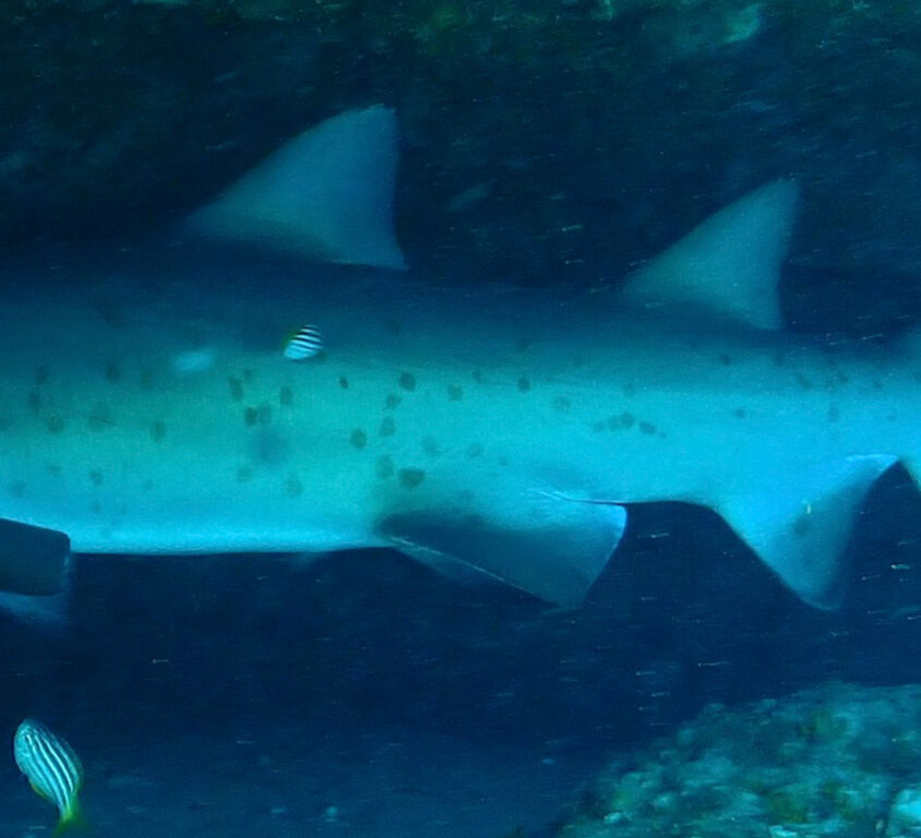 f7f6e6b3-02e2-4701-a66b-27e1d4629868