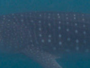 7e18a6d3-4847-4662-bbb4-bfcb9477a531