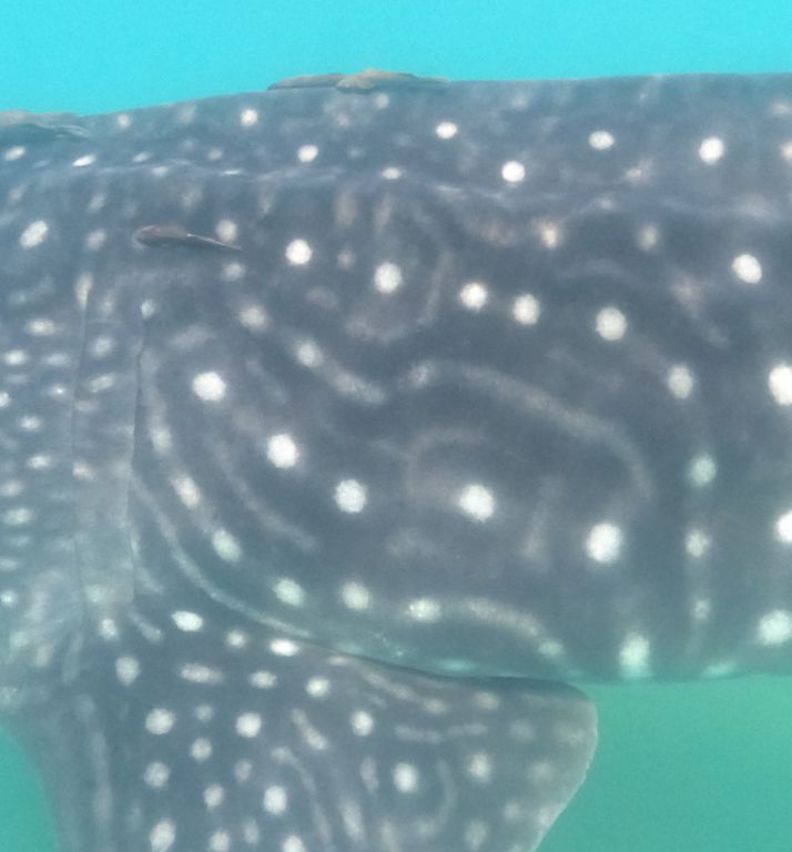 c8692b7e-818d-4517-8ee3-8959f7d76be1