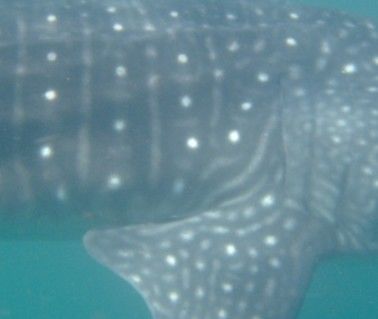 14274448-99cf-42e0-a88e-8c49bfc07749