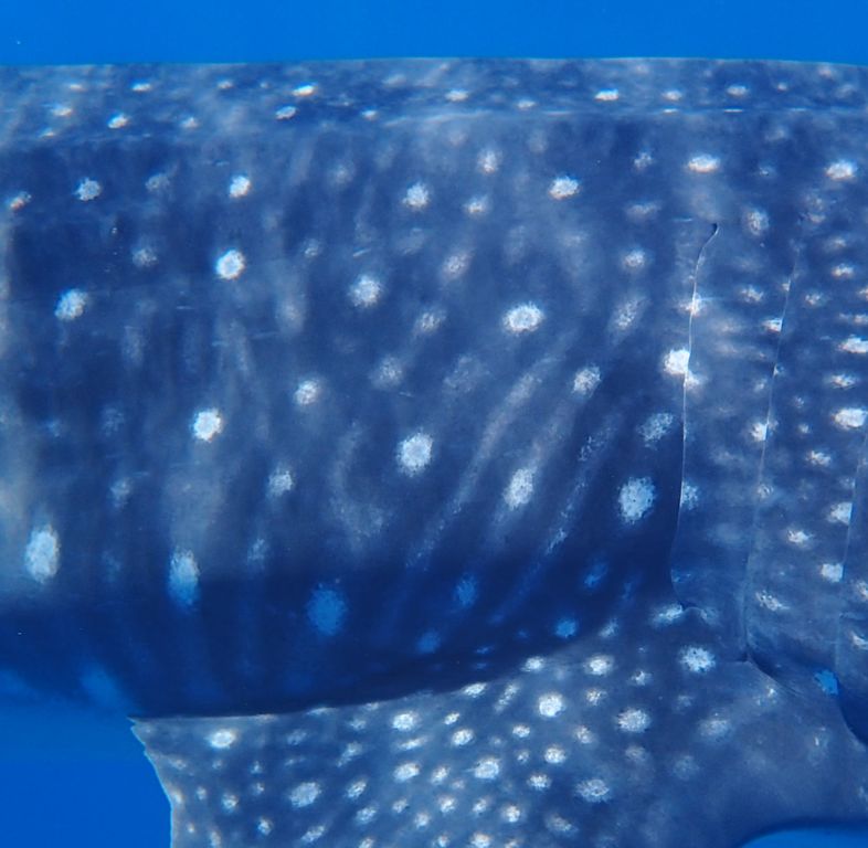 9f06e5d4-69b1-4c6c-b971-166fc0519a52