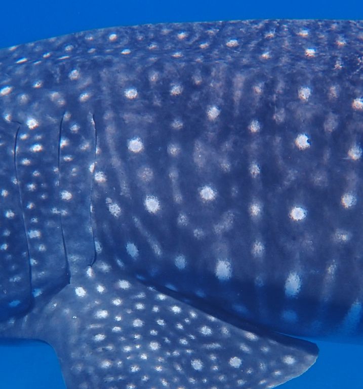 9f06e5d4-69b1-4c6c-b971-166fc0519a52