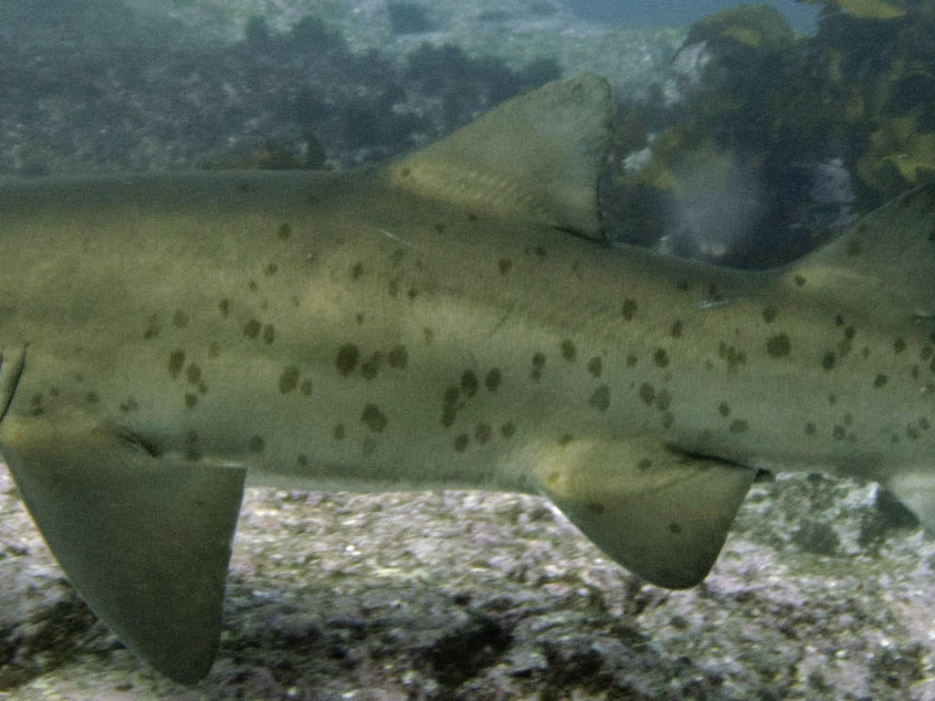 ef6bacb2-f54c-4970-8f7b-590f3e9e1b8c