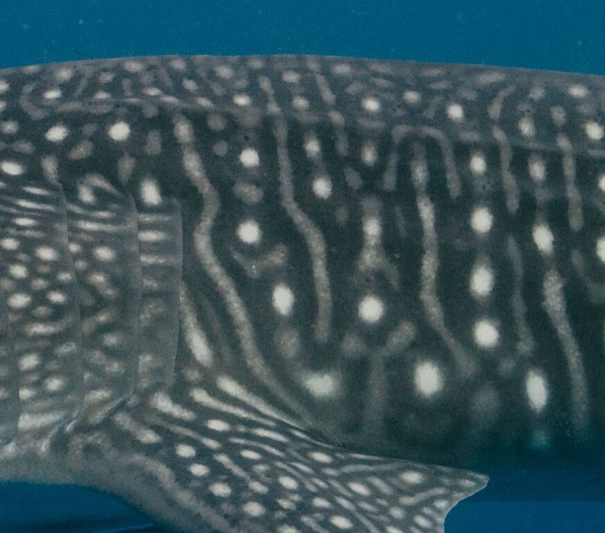 27a846f0-d4d9-4f7f-be51-7b3e8be7f054