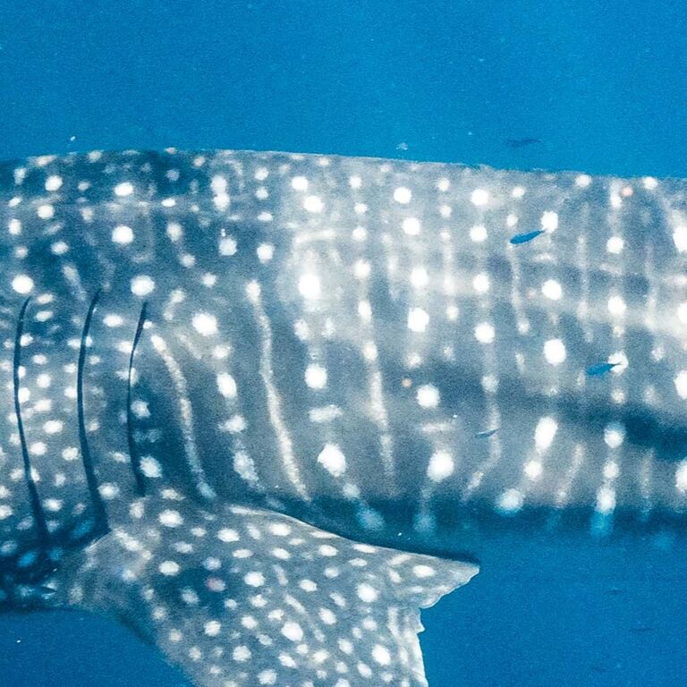 41475448-671b-49eb-af39-ec6049333169